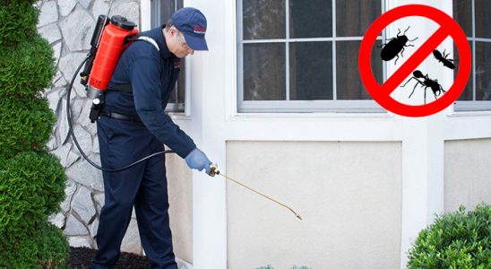 Abana Tahtakurusu İlaçlama böcek ilaçlama ve haşere kontrolü — ilaclama-tr.com